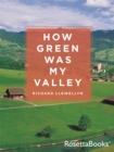 How Green Was My Valley - eBook