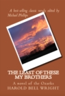The Least of These My Brothers : A Novel of the Ozarks - eBook
