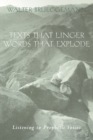 Texts That Linger, Words That Explode : Listening to Prophetic Voices - Book