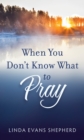 When You Don't Know What to Pray - Book