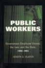 Public Workers : Government Employee Unions, the Law, and the State, 1900-1962 - Book