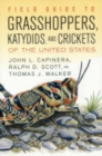 Field Guide to Grasshoppers, Katydids, and Crickets of the United States - Book
