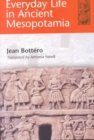Everyday Life in Ancient Mesopotamia - Book