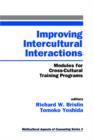 Improving Intercultural Interactions : Modules for Cross-Cultural Training Programs - Book