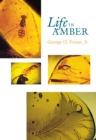 Life in Amber - Book