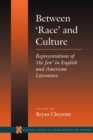 Between 'Race' and Culture : Representations of 'the Jew' in English and American Literature - Book