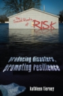 The Social Roots of Risk : Producing Disasters, Promoting Resilience - Book