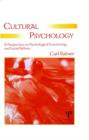 Cultural Psychology : A Perspective on Psychological Functioning and Social Reform - Book