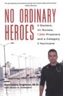 No Ordinary Heroes: - eBook