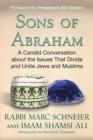 Sons of Abraham - eBook