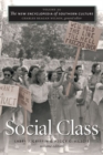The New Encyclopedia of Southern Culture : Volume 20: Social Class - Book