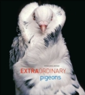 Extraordinary Pigeons - Book