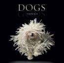 Dogs : Gods - Book