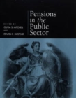 Pensions in the Public Sector - Book