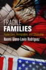 Fragile Families : Foster Care, Immigration, and Citizenship - eBook