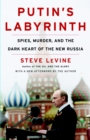 Putin's Labyrinth : Spies, Murder, and the Dark Heart of the New Russia - Book