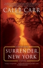 Surrender, New York - eBook