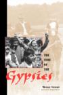 The Time Of The Gypsies - Book