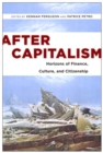 After Capitalism : Horizons of Finance, Culture, and Citizenship - eBook