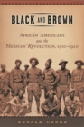 Black and Brown : African Americans and the Mexican Revolution, 1910-1920 - eBook
