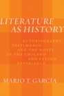 Literature as History : Autobiography, Testimonio, and the Novel in the Chicano and Latino Experience - Book