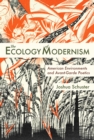 The Ecology of Modernism : American Environments and Avant-Garde Poetics - eBook