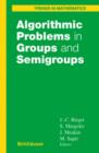 Algorithmic Problems in Groups and Semigroups - Book