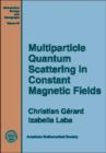 Multiparticle Quantum Scattering in Constant Magnetic Fields - Book