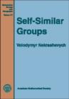 Self-Similar Groups - Book