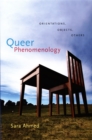 Queer Phenomenology : Orientations, Objects, Others - eBook
