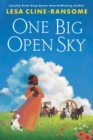 One Big Open Sky - eBook