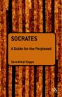 Socrates: A Guide for the Perplexed - eBook
