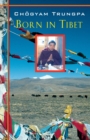 Born in Tibet - eBook