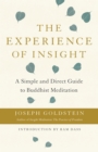 Experience of Insight - eBook