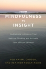From Mindfulness to Insight - eBook