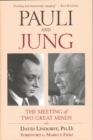 Pauli and Jung : The Meeting of Two Great Minds - eBook