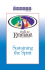 Sustaining the Spirit : The Emmaus Library Series - eBook