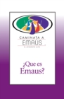 Que es Emaus? : Caminata a Emaus - eBook