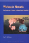 Working in Memphis : The Production of Faience at Roman Period Kom Helul - Book
