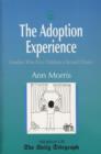 The Adoption Experience : Families Who Give Children a Second Chance - eBook