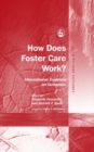 How Does Foster Care Work? : International Evidence on Outcomes - eBook
