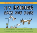 It's Raining Cats and Dogs : An Autism Spectrum Guide to the Confusing World of Idioms, Metaphors and Everyday Expressions - eBook