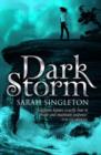Dark Storm - eBook