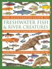 Illustrated Guide to Freshwater Fish & River Creatures - Book