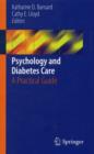 Psychology and Diabetes Care : A Practical Guide - Book