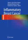 Inflammatory Breast Cancer - eBook