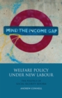 Welfare Policy Under New Labour : The Politics of Social Security Reform - eBook