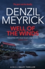 Well of the Winds - eBook