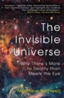 The Invisible Universe : Why There’s More to Reality than Meets the Eye - Book