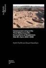 Ceremonial Living in the Third Millennium BC : Excavations at Ringlemere Site M1, Kent, 2002-2006 - Book